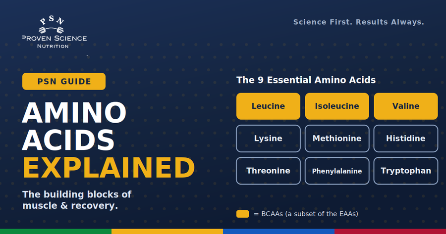Understanding Amino Acids: The Key to Muscle Growth and Recovery