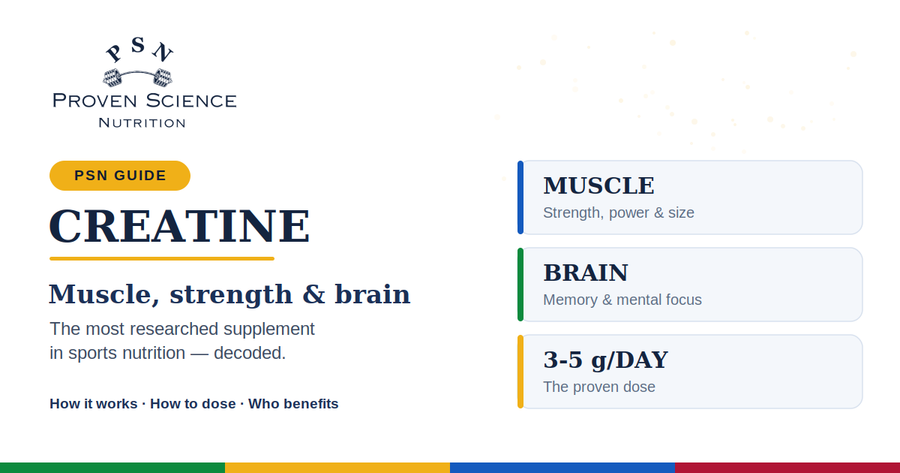The Power of Creatine: Unlocking Muscle and Brain Potential