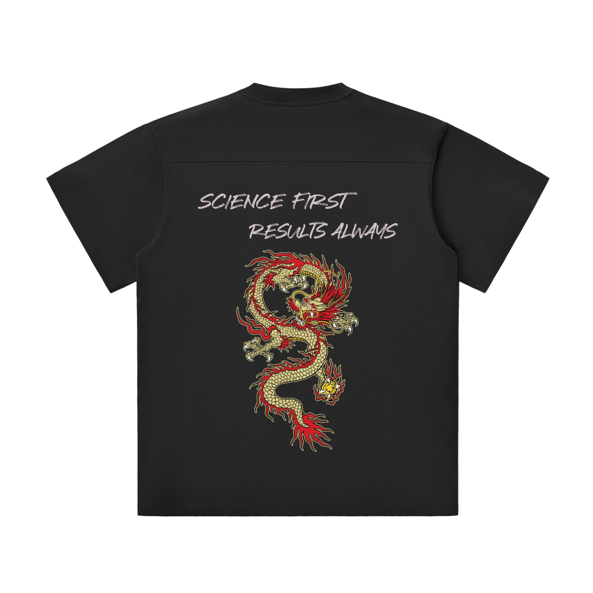 PSN Lightweight Oversized Tee – Dragon Back
