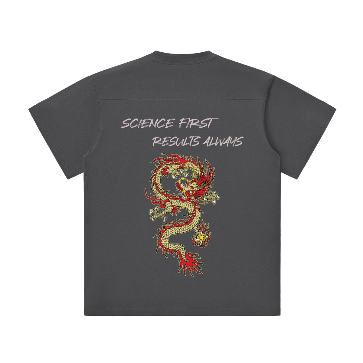 PSN Lightweight Oversized Tee – Dragon Back