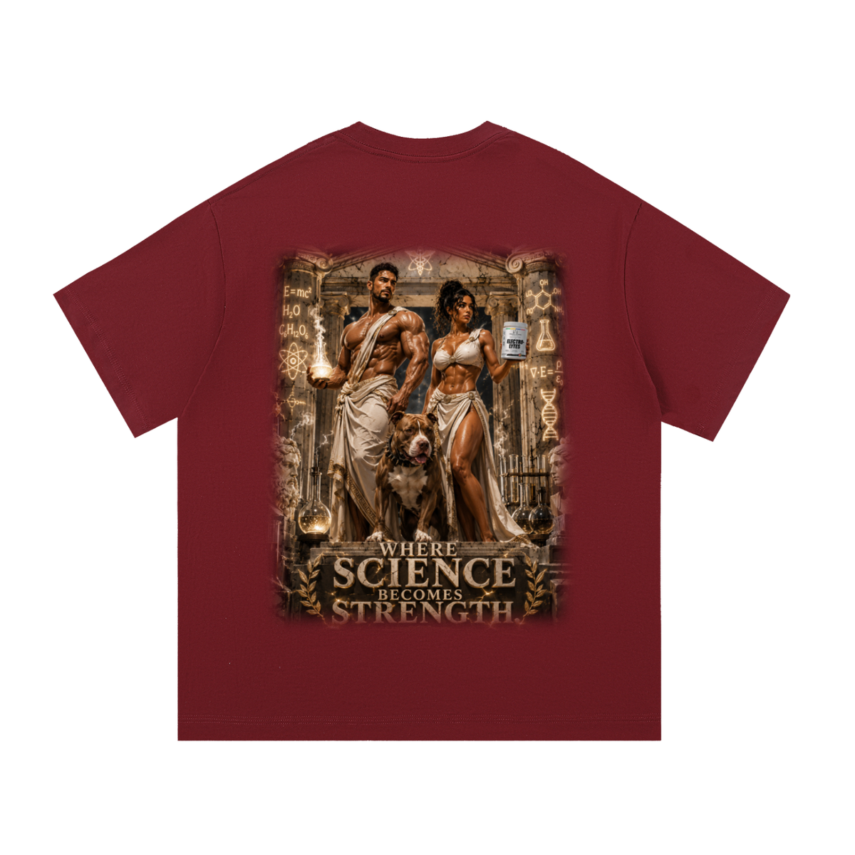 Oversized T shirt PSN Greek Gods