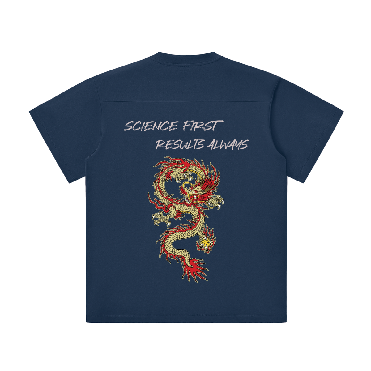 PSN Lightweight Oversized Tee – Dragon Back