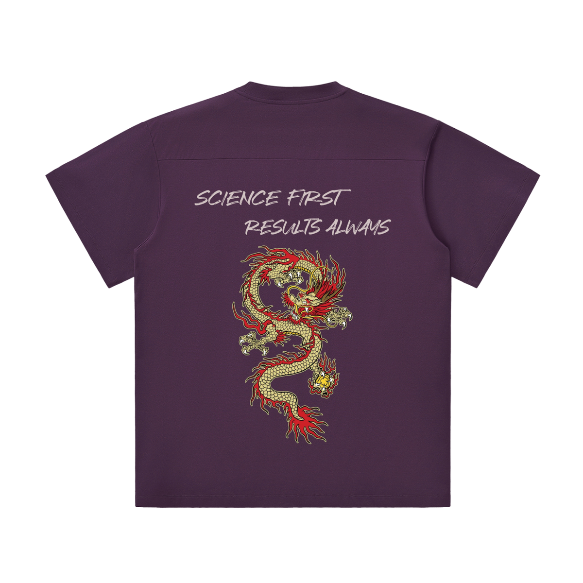 PSN Lightweight Oversized Tee – Dragon Back